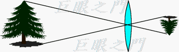 image.gif (1867 bytes)
